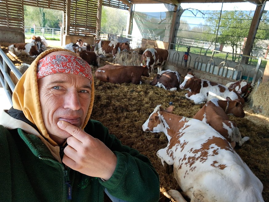Manu volunteering at the Hare Krishna Temple cow farm in Watford — photo 1