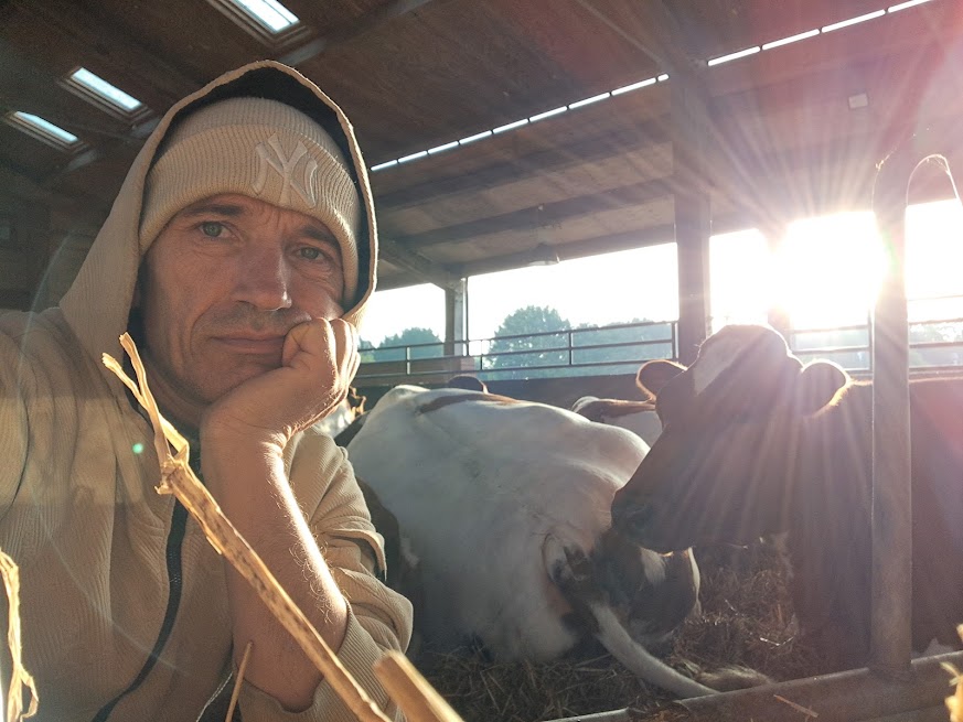 Manu volunteering at the Hare Krishna Temple cow farm in Watford — photo 2