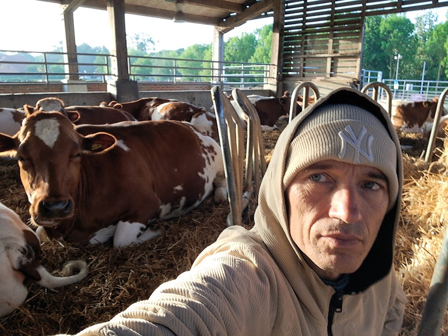 Manu volunteering at the Hare Krishna Temple cow farm in Watford — photo 3